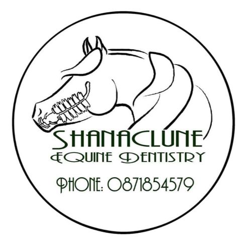 Shanaclune Equine Dentistry